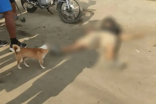 Hombre muerto a balazos mientras viajaba en moto