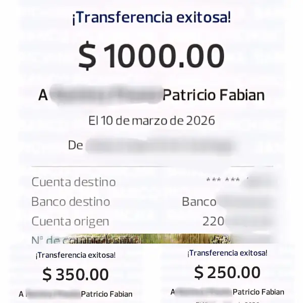 Comprobantes de las transacciones por USD 1.000, USD 350 y USD250 a nombre de Patricio Fabián R. P.