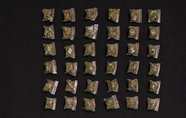 Mariguana encontrada durante el allanamiento