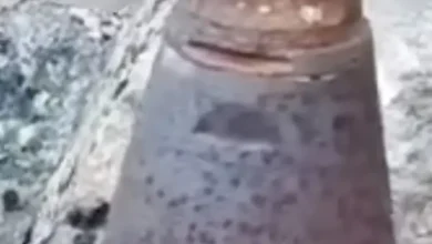 Munición militar hallada en el Chimborazo