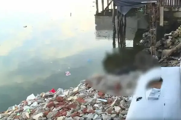 Lugar en el que el menor se topó con la macabra escena