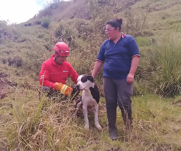 El agradecimiento de la "mamá humana" y del peludito a quién lo rescató