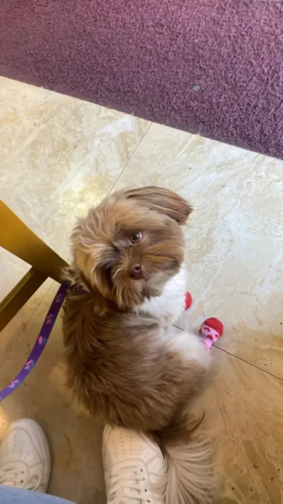 La última foto de la hermosa Isis, minutos antes del atroz ataque