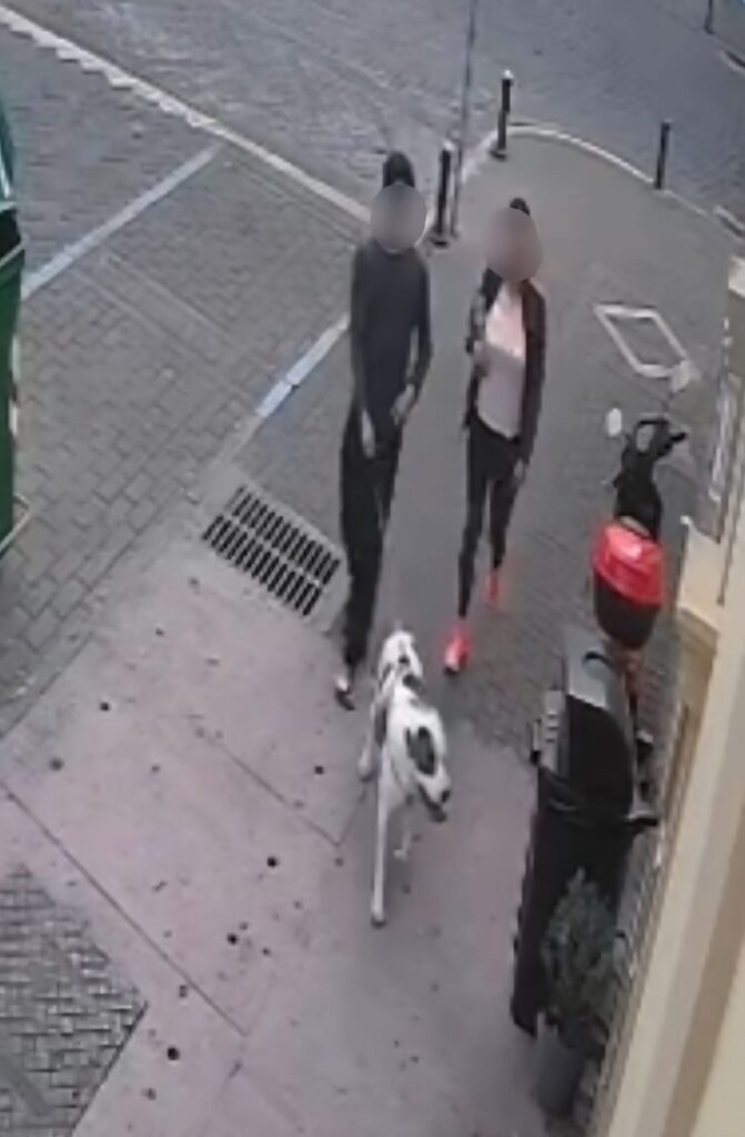 El pitbull y sus propietarios, segundos previos al ataque