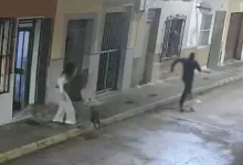 Video | Perro evita secuestro y salva a su dueña