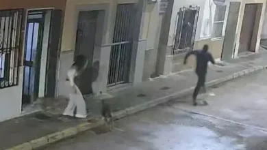 Video | Perro evita secuestro y salva a su dueña