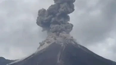 Video | Volcán Reventador expulsa ceniza de 800 metros