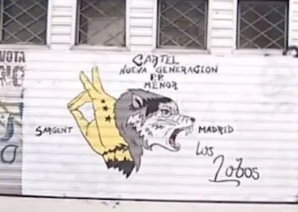 Grupo de Delincuencia Organizada Los Lobos