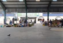 Mercado General Dávalos en Riobamba: productos y servicios