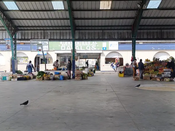 Mercado General Dávalos en Riobamba: productos y servicios