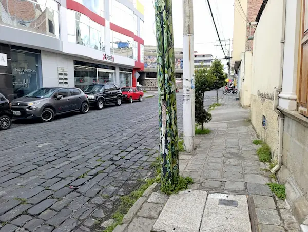 Municipio de Riobamba abre inscripciones para concurso Pinceladas de los Andes 2026