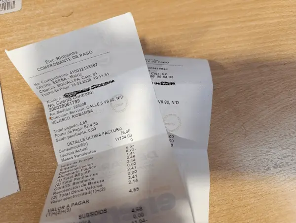 Puede descargar e imprima la planilla de luz.