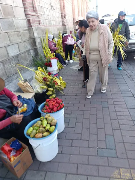 Domingo de Ramos conozca el significado.